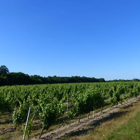 Cozy Avec Terrasse Et Climatisation Pres De Saint Pourcain - Fr-1-489-267 Meillard