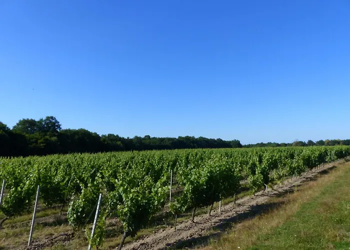 Ferienhaus Cozy Avec Terrasse Et Climatisation Pres De Saint Pourcain - Fr-1-489-267